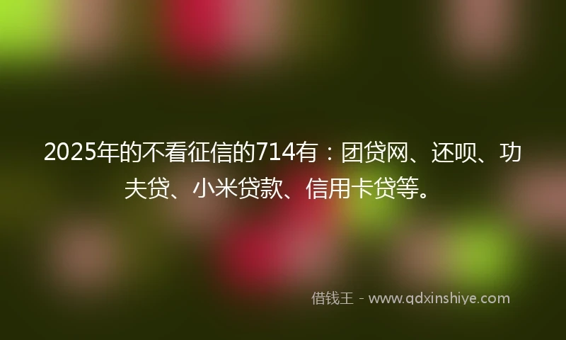 2025年的不看征信的714有：团贷网、还呗、功夫贷、小米贷款、信用卡贷等。
