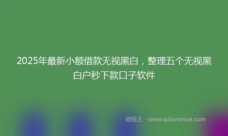 2025年最新小额借款无视黑白，整理五个无视黑白户秒下款口子软件
