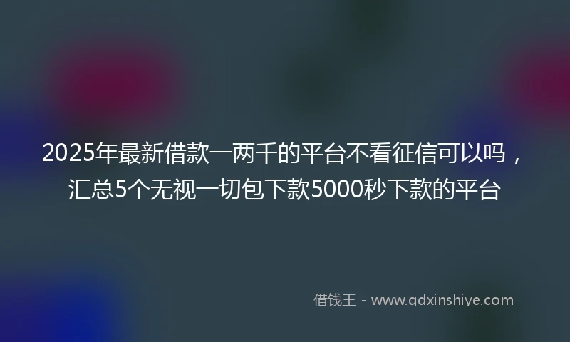 2025年最新借款一两千的平台不看征信可以吗，汇总5个无视一切包下款5000秒下款的平台