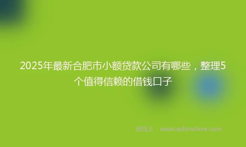 2025年最新合肥市小额贷款公司有哪些，整理5个值得信赖的借钱口子
