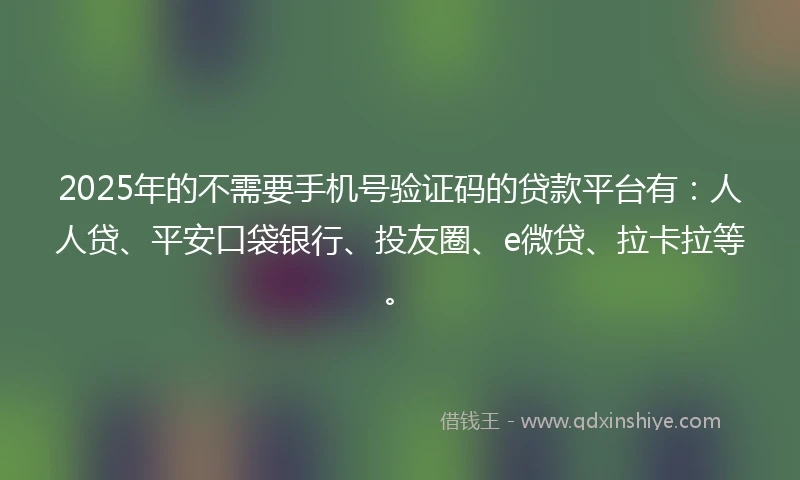 2025年的不需要手机号验证码的贷款平台有：人人贷、平安口袋银行、投友圈、e微贷、拉卡拉等。