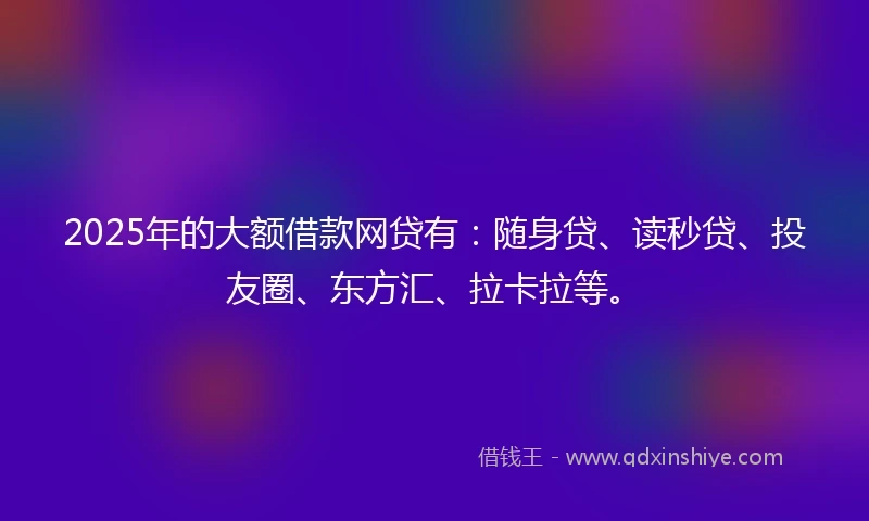 2025年的大额借款网贷有：随身贷、读秒贷、投友圈、东方汇、拉卡拉等。