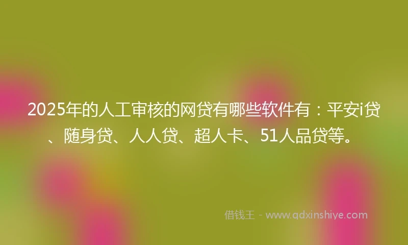 2025年的人工审核的网贷有哪些软件有：平安i贷、随身贷、人人贷、超人卡、51人品贷等。