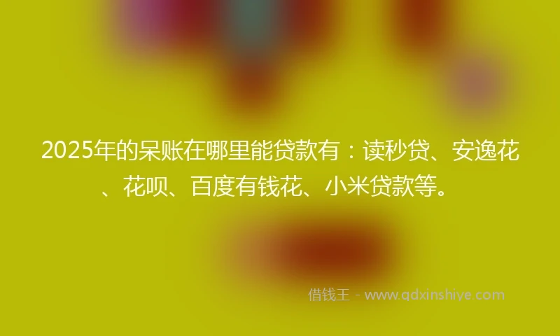 2025年的呆账在哪里能贷款有：读秒贷、安逸花、花呗、百度有钱花、小米贷款等。