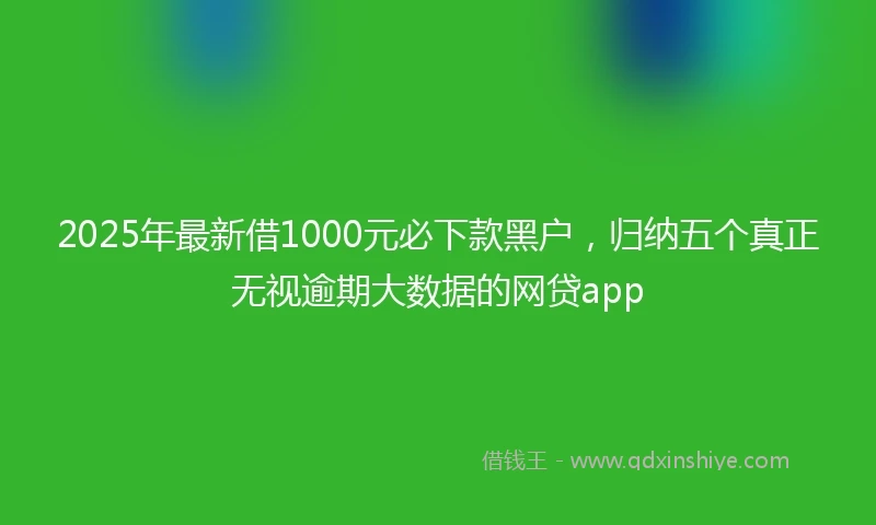 2025年最新借1000元必下款黑户，归纳五个真正无视逾期大数据的网贷app