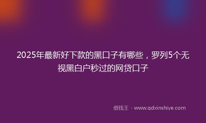 2025年最新好下款的黑口子有哪些，罗列5个无视黑白户秒过的网贷口子