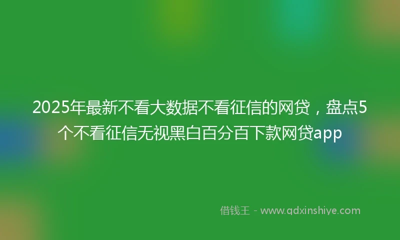 2025年最新不看大数据不看征信的网贷，盘点5个不看征信无视黑白百分百下款网贷app