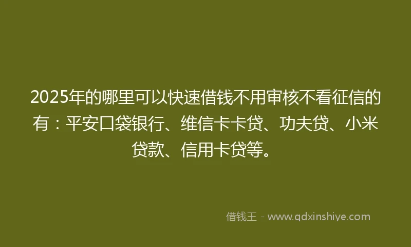 2025年的哪里可以快速借钱不用审核不看征信的有：平安口袋银行、维信卡卡贷、功夫贷、小米贷款、信用卡贷等。