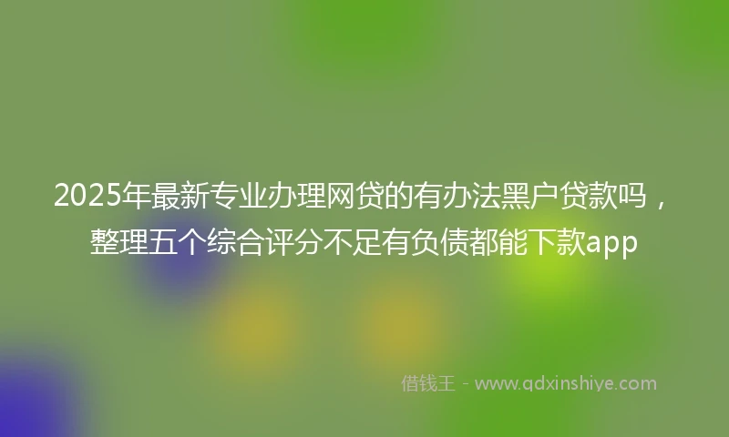 2025年最新专业办理网贷的有办法黑户贷款吗，整理五个综合评分不足有负债都能下款app