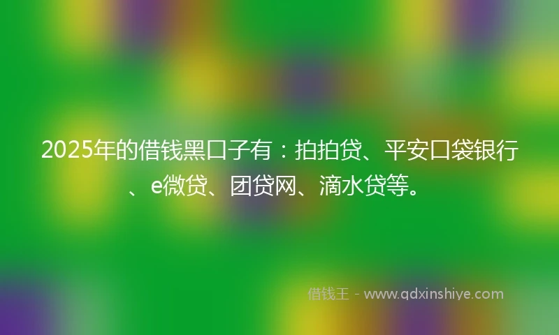 2025年的借钱黑口子有：拍拍贷、平安口袋银行、e微贷、团贷网、滴水贷等。