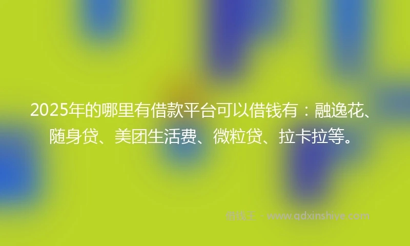 2025年的哪里有借款平台可以借钱有：融逸花、随身贷、美团生活费、微粒贷、拉卡拉等。