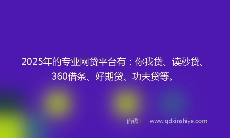 2025年的专业网贷平台有：你我贷、读秒贷、360借条、好期贷、功夫贷等。