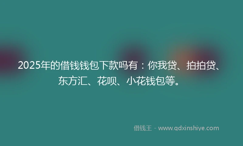 2025年的借钱钱包下款吗有：你我贷、拍拍贷、东方汇、花呗、小花钱包等。