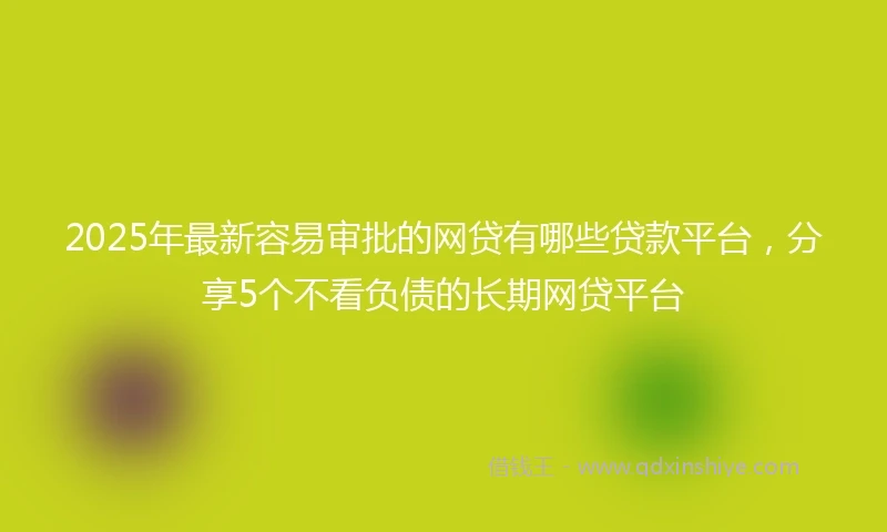 2025年最新容易审批的网贷有哪些贷款平台，分享5个不看负债的长期网贷平台
