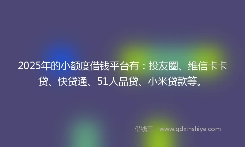 2025年的小额度借钱平台有：投友圈、维信卡卡贷、快贷通、51人品贷、小米贷款等。