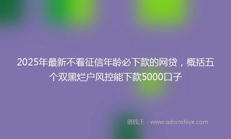 2025年最新不看征信年龄必下款的网贷，概括五个双黑烂户风控能下款5000口子