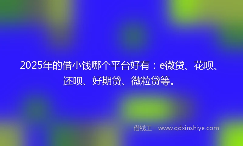 2025年的借小钱哪个平台好有：e微贷、花呗、还呗、好期贷、微粒贷等。