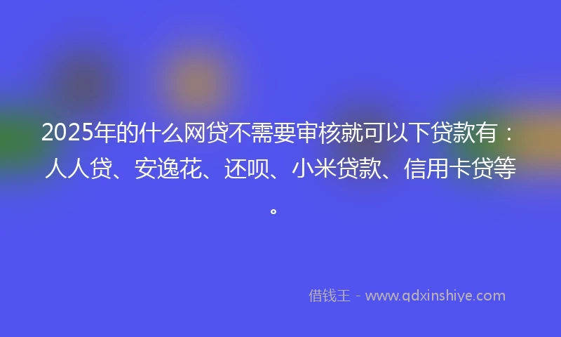 2025年的什么网贷不需要审核就可以下贷款有：人人贷、安逸花、还呗、小米贷款、信用卡贷等。