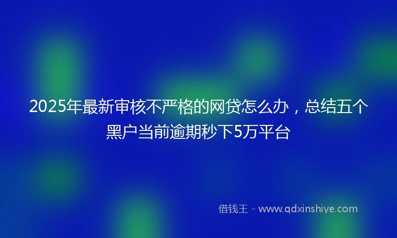 2025年最新审核不严格的网贷怎么办，总结五个黑户当前逾期秒下5万平台