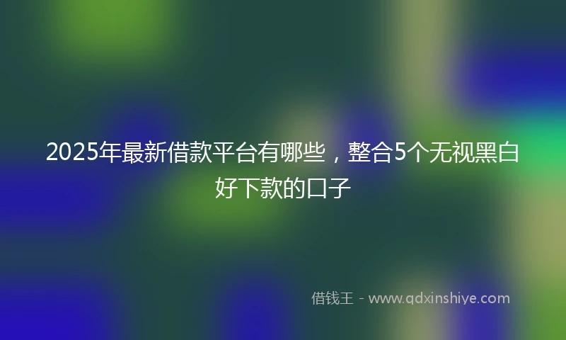 2025年最新借款平台有哪些，整合5个无视黑白好下款的口子