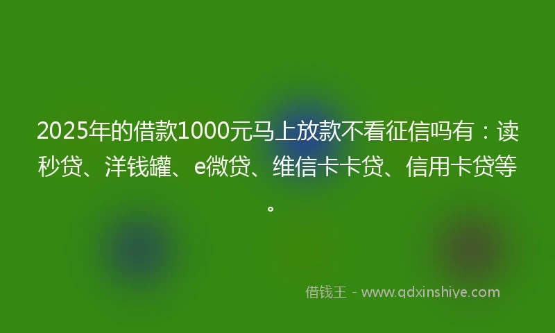 2025年的借款1000元马上放款不看征信吗有：读秒贷、洋钱罐、e微贷、维信卡卡贷、信用卡贷等。