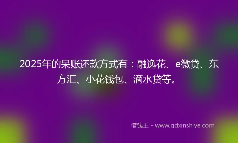 2025年的呆账还款方式有：融逸花、e微贷、东方汇、小花钱包、滴水贷等。