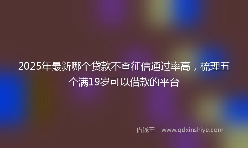 2025年最新哪个贷款不查征信通过率高，梳理五个满19岁可以借款的平台