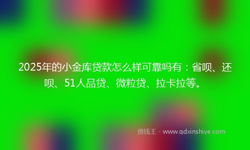 2025年的小金库贷款怎么样可靠吗有：省呗、还呗、51人品贷、微粒贷、拉卡拉等。