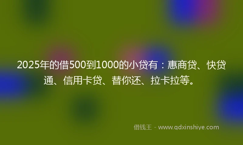 2025年的借500到1000的小贷有：惠商贷、快贷通、信用卡贷、替你还、拉卡拉等。