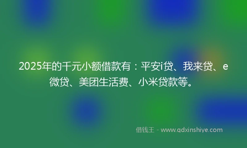 2025年的千元小额借款有：平安i贷、我来贷、e微贷、美团生活费、小米贷款等。