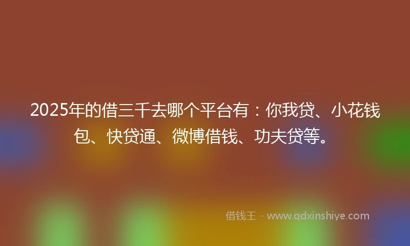 2025年的借三千去哪个平台有：你我贷、小花钱包、快贷通、微博借钱、功夫贷等。