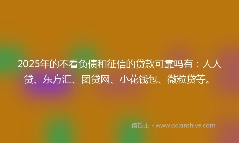 2025年的不看负债和征信的贷款可靠吗有：人人贷、东方汇、团贷网、小花钱包、微粒贷等。
