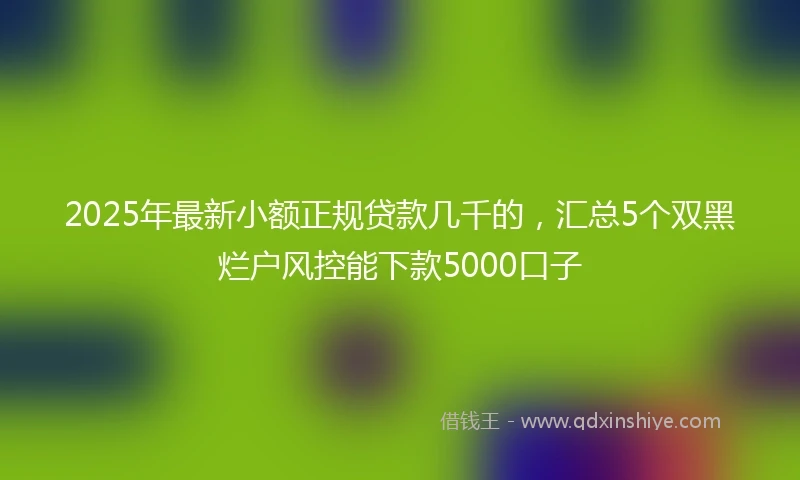 2025年最新小额正规贷款几千的，汇总5个双黑烂户风控能下款5000口子