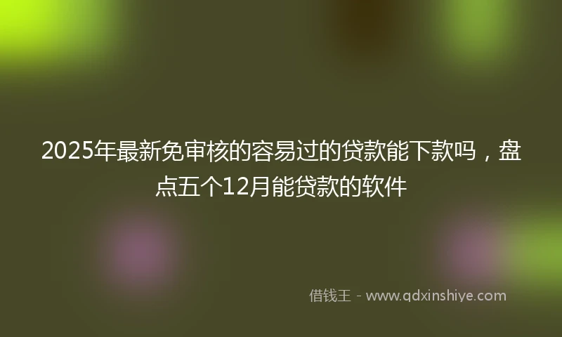 2025年最新免审核的容易过的贷款能下款吗，盘点五个12月能贷款的软件