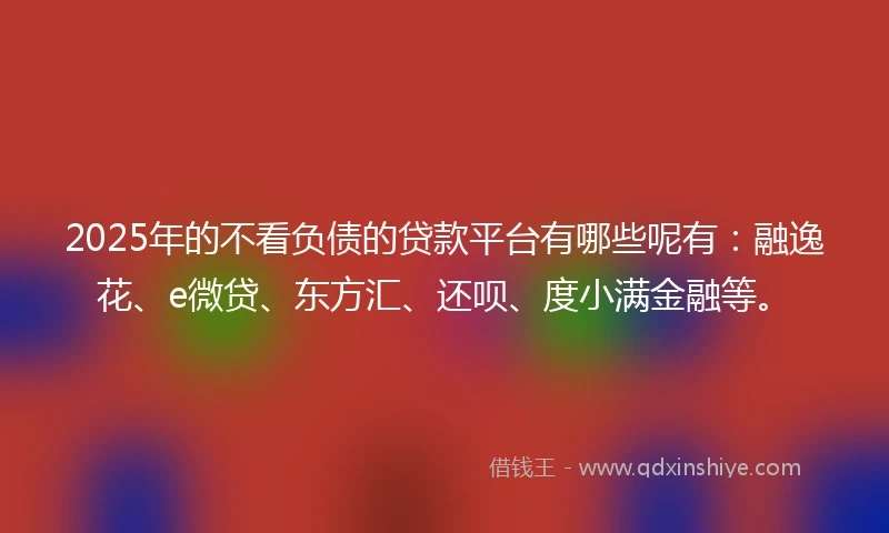 2025年的不看负债的贷款平台有哪些呢有：融逸花、e微贷、东方汇、还呗、度小满金融等。