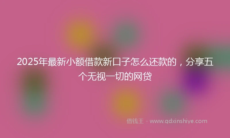 2025年最新小额借款新口子怎么还款的，分享五个无视一切的网贷