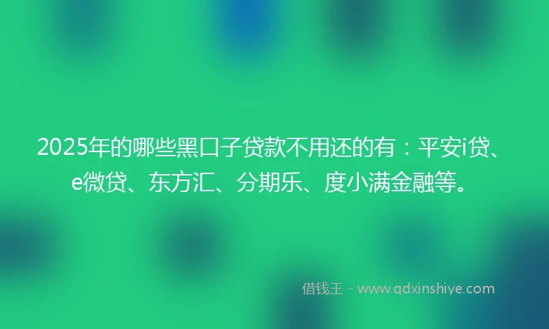 2025年的哪些黑口子贷款不用还的有：平安i贷、e微贷、东方汇、分期乐、度小满金融等。