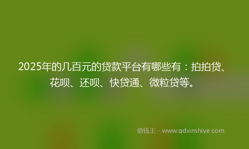 2025年的几百元的贷款平台有哪些有：拍拍贷、花呗、还呗、快贷通、微粒贷等。