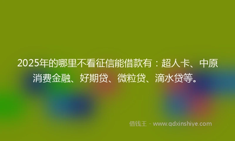 2025年的哪里不看征信能借款有：超人卡、中原消费金融、好期贷、微粒贷、滴水贷等。