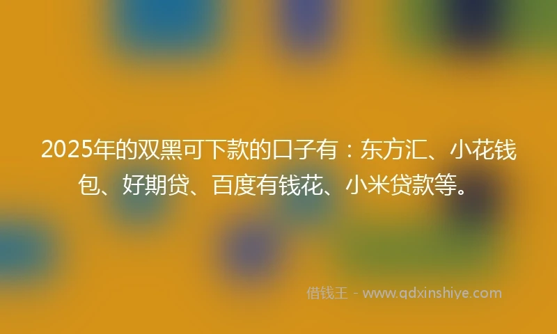 2025年的双黑可下款的口子有：东方汇、小花钱包、好期贷、百度有钱花、小米贷款等。