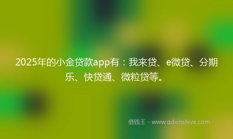2025年的小金贷款app有：我来贷、e微贷、分期乐、快贷通、微粒贷等。