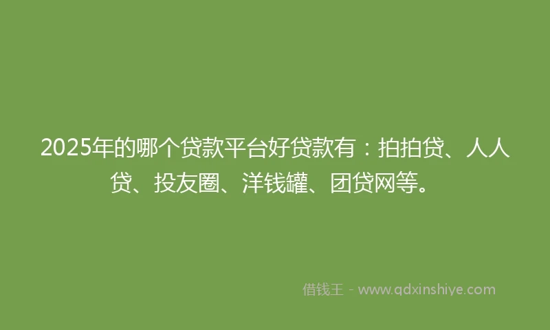 2025年的哪个贷款平台好贷款有：拍拍贷、人人贷、投友圈、洋钱罐、团贷网等。