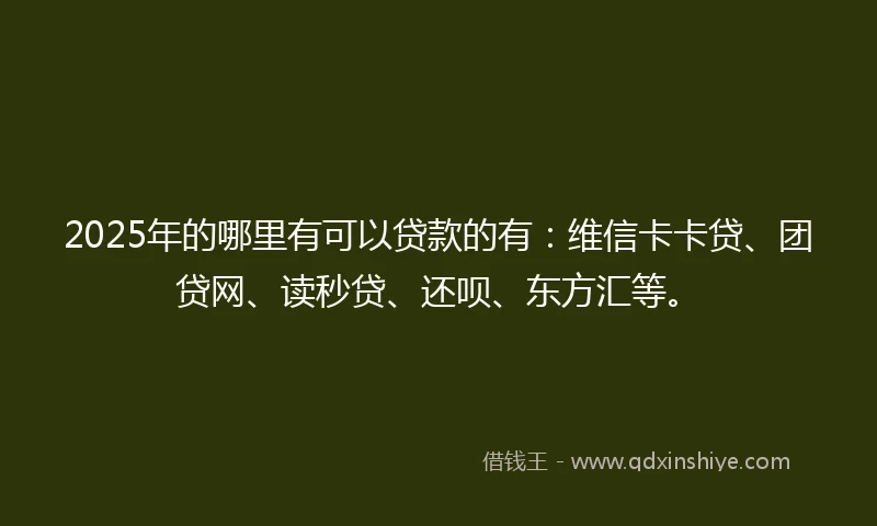 2025年的哪里有可以贷款的有：维信卡卡贷、团贷网、读秒贷、还呗、东方汇等。