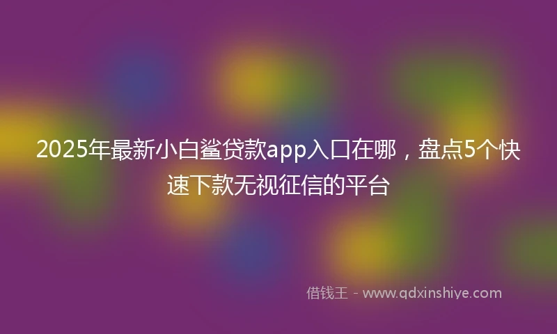 2025年最新小白鲨贷款app入口在哪，盘点5个快速下款无视征信的平台