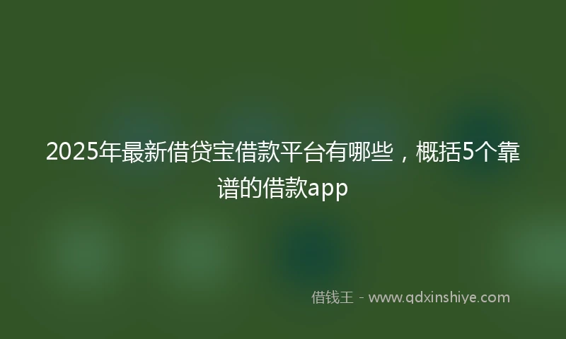 2025年最新借贷宝借款平台有哪些，概括5个靠谱的借款app