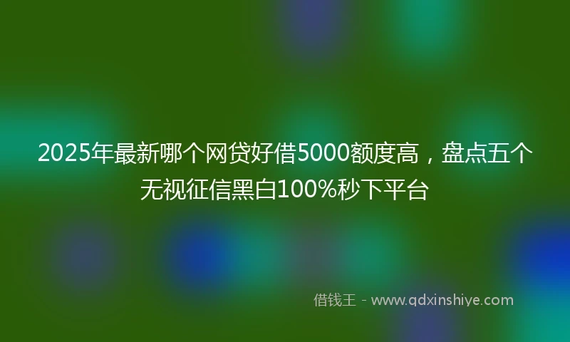 2025年最新哪个网贷好借5000额度高，盘点五个无视征信黑白100%秒下平台