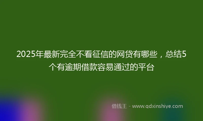 2025年最新完全不看征信的网贷有哪些，总结5个有逾期借款容易通过的平台
