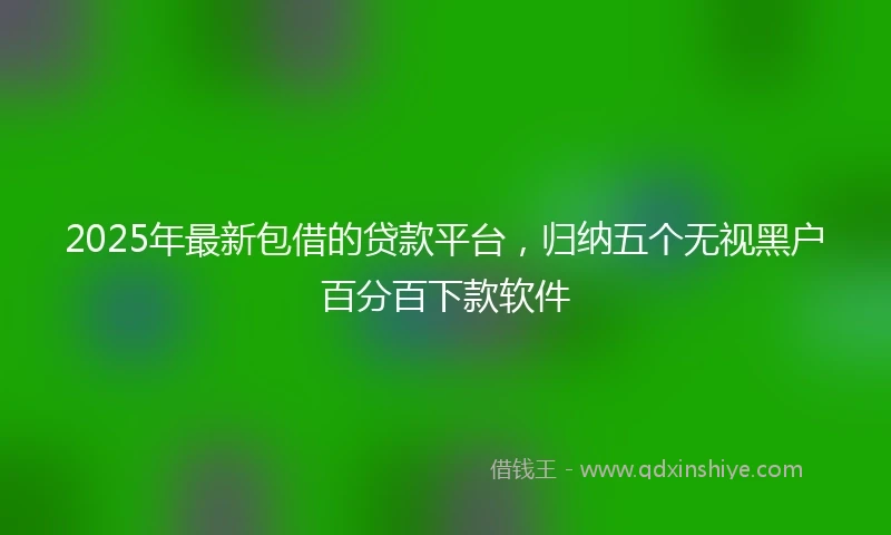 2025年最新包借的贷款平台，归纳五个无视黑户百分百下款软件