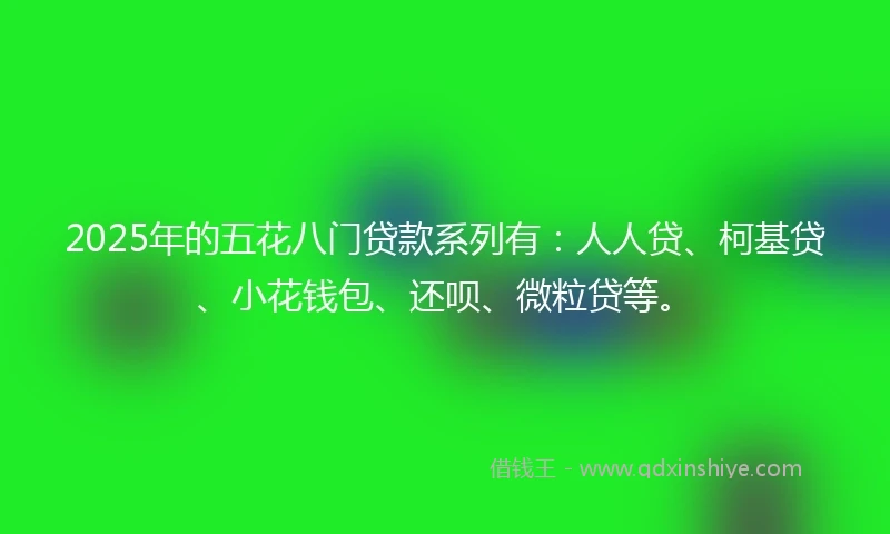 2025年的五花八门贷款系列有：人人贷、柯基贷、小花钱包、还呗、微粒贷等。