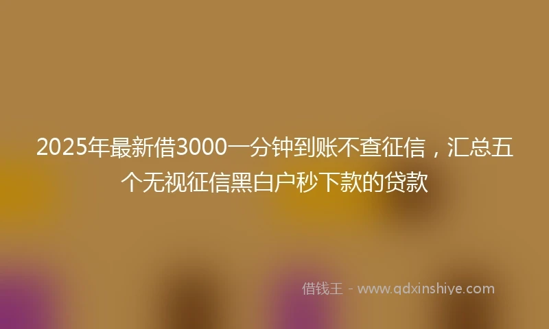 2025年最新借3000一分钟到账不查征信，汇总五个无视征信黑白户秒下款的贷款